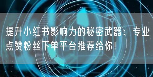 提升小红书影响力的秘密武器：专业点赞粉丝下单平台推荐给你！