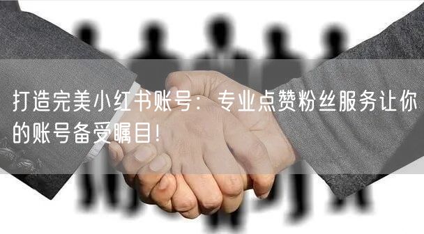 打造完美小红书账号：专业点赞粉丝服务让你的账号备受瞩目！