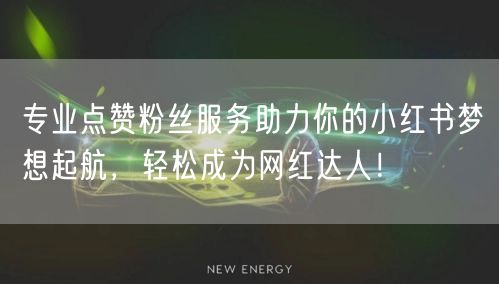 专业点赞粉丝服务助力你的小红书梦想起航，轻松成为网红达人！
