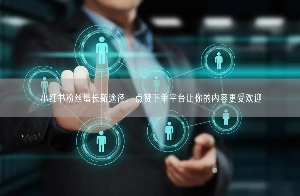小红书粉丝增长新途径，点赞下单平台让你的内容更受欢迎