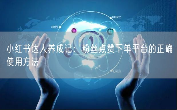 小红书达人养成记：粉丝点赞下单平台的正确使用方法