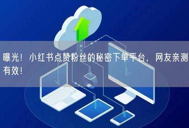 曝光！小红书点赞粉丝的秘密下单平台，网友亲测有效！