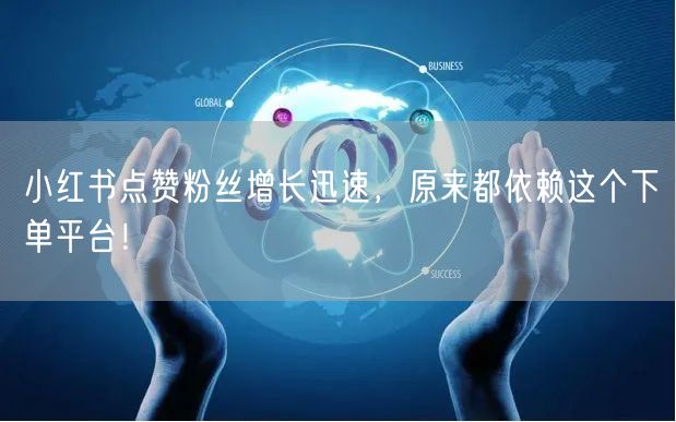 小红书点赞粉丝增长迅速，原来都依赖这个下单平台！