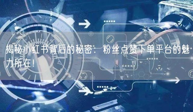 揭秘小红书背后的秘密：粉丝点赞下单平台的魅力所在！