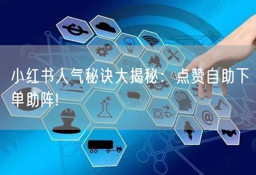 小红书人气秘诀大揭秘：点赞自助下单助阵!
