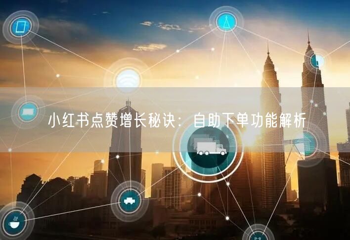 小红书点赞增长秘诀：自助下单功能解析