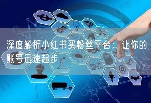 深度解析小红书买粉丝平台：让你的账号迅速起步