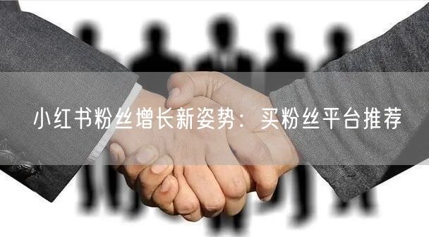 小红书粉丝增长新姿势：买粉丝平台推荐