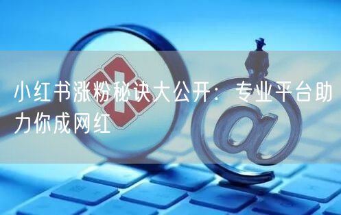 小红书涨粉秘诀大公开：专业平台助力你成网红