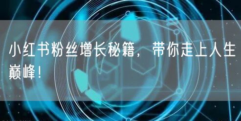 小红书粉丝增长秘籍，带你走上人生巅峰！