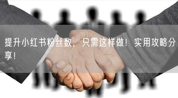 提升小红书粉丝数，只需这样做！实用攻略分享！