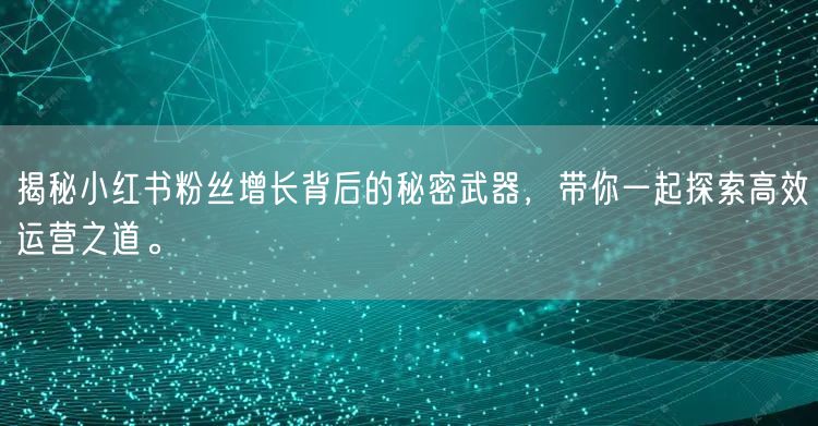 揭秘小红书粉丝增长背后的秘密武器，带你一起探索高效运营之道。