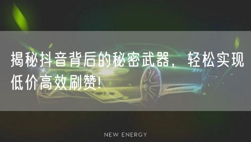 揭秘抖音背后的秘密武器，轻松实现低价高效刷赞!