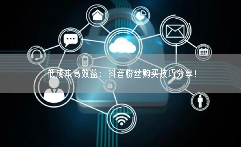 低成本高效益：抖音粉丝购买技巧分享！