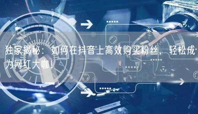 独家揭秘：如何在抖音上高效购买粉丝，轻松成为网红大咖！