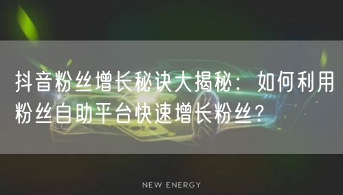 抖音粉丝增长秘诀大揭秘：如何利用粉丝自助平台快速增长粉丝？