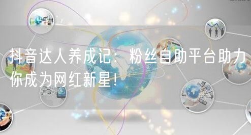 抖音达人养成记：粉丝自助平台助力你成为网红新星！