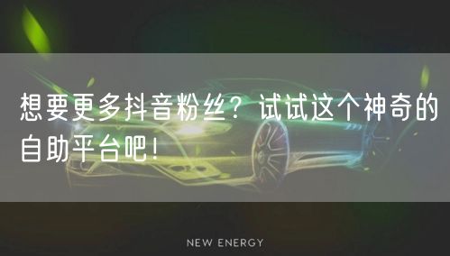 想要更多抖音粉丝？试试这个神奇的自助平台吧！