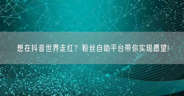 想在抖音世界走红？粉丝自助平台带你实现愿望!