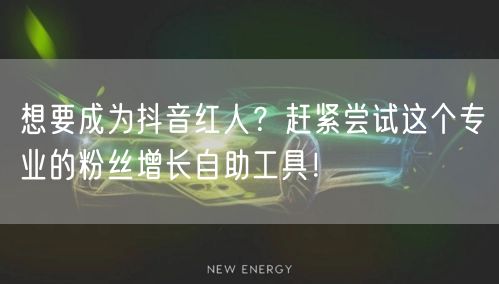 想要成为抖音红人？赶紧尝试这个专业的粉丝增长自助工具！