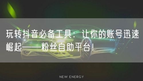 玩转抖音必备工具：让你的账号迅速崛起——粉丝自助平台！