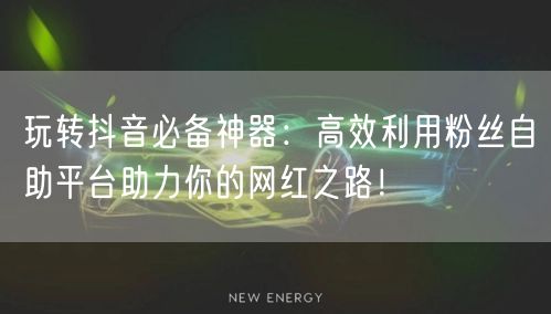 玩转抖音必备神器：高效利用粉丝自助平台助力你的网红之路！