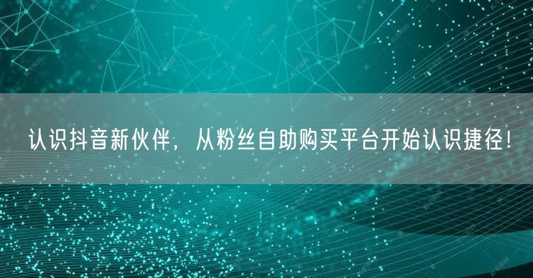 认识抖音新伙伴，从粉丝自助购买平台开始认识捷径！