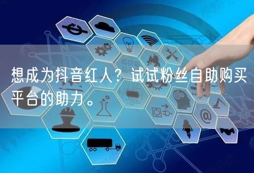 想成为抖音红人？试试粉丝自助购买平台的助力。