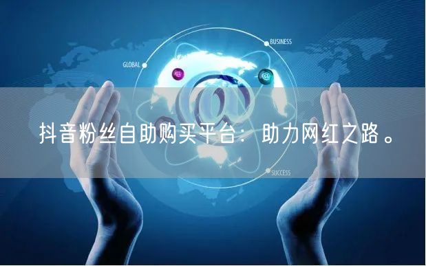 抖音粉丝自助购买平台：助力网红之路。