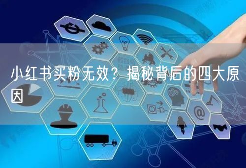 小红书买粉无效？揭秘背后的四大原因