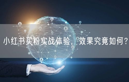 小红书买粉实战体验，效果究竟如何？