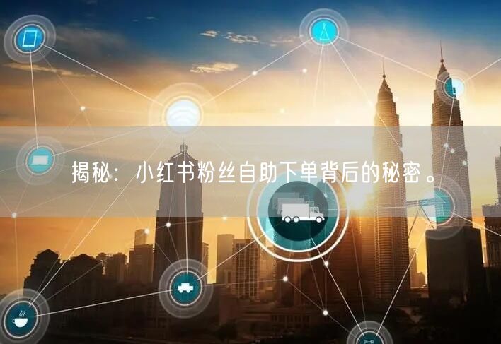 揭秘：小红书粉丝自助下单背后的秘密。