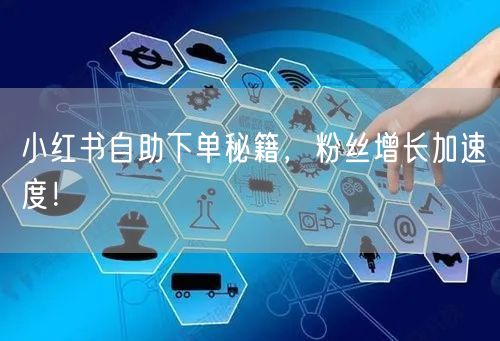 小红书自助下单秘籍，粉丝增长加速度！