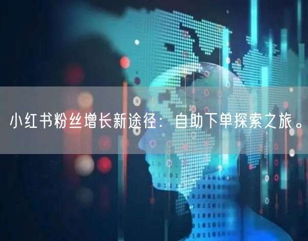 小红书粉丝增长新途径：自助下单探索之旅。