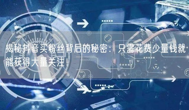 揭秘抖音买粉丝背后的秘密：只需花费少量钱就能获得大量关注！