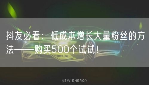 抖友必看：低成本增长大量粉丝的方法——购买500个试试！