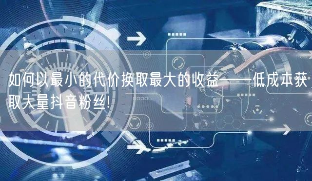 如何以最小的代价换取最大的收益——低成本获取大量抖音粉丝!