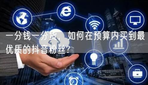 一分钱一分货，如何在预算内买到最优质的抖音粉丝?