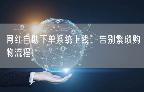 网红自助下单系统上线，告别繁琐购物流程！