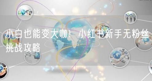 小白也能变大咖！小红书新手无粉丝挑战攻略