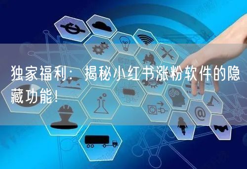 独家福利：揭秘小红书涨粉软件的隐藏功能！