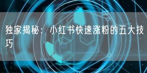 独家揭秘：小红书快速涨粉的五大技巧