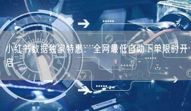 小红书数据独家特惠：全网最低自助下单限时开启