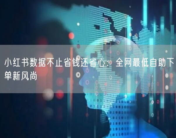 小红书数据不止省钱还省心：全网最低自助下单新风尚