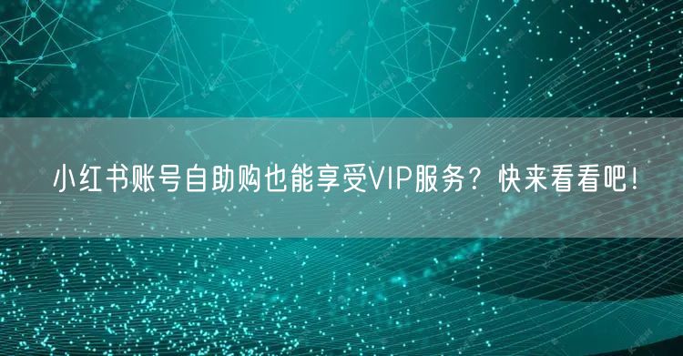小红书账号自助购也能享受VIP服务？快来看看吧！
