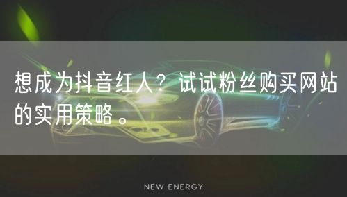 想成为抖音红人？试试粉丝购买网站的实用策略。