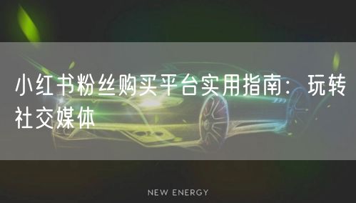 小红书粉丝购买平台实用指南：玩转社交媒体
