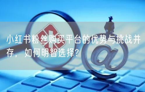 小红书粉丝购买平台的优势与挑战并存，如何明智选择?