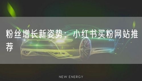 粉丝增长新姿势：小红书买粉网站推荐