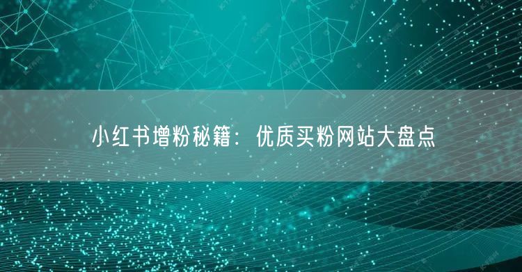 小红书增粉秘籍：优质买粉网站大盘点